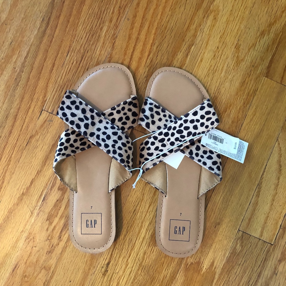 Leopard slides